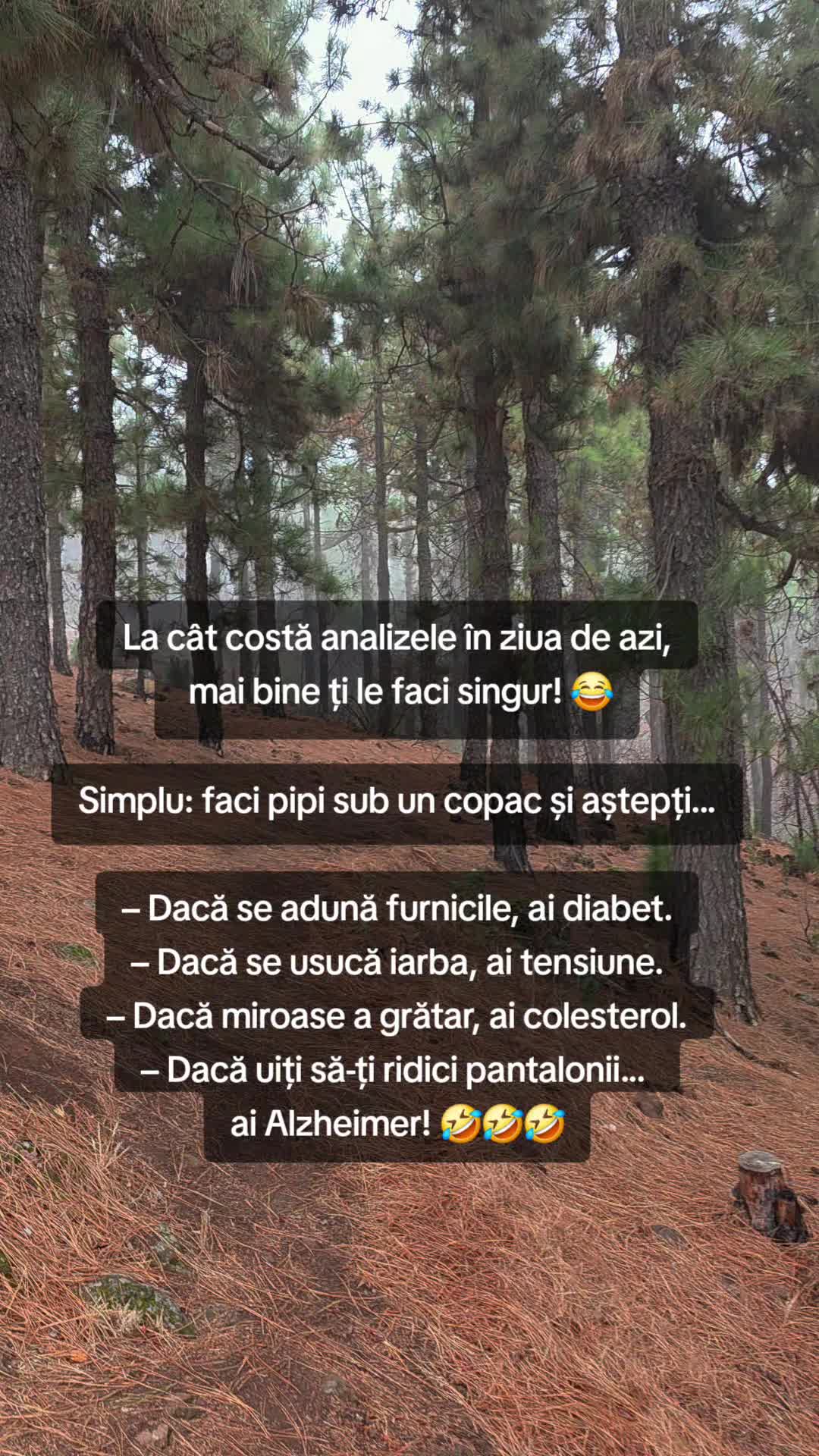 @Ionut Simion