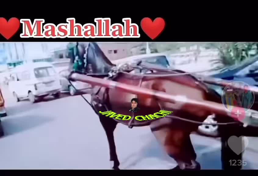 @جاويد چهـاچهـى Uk