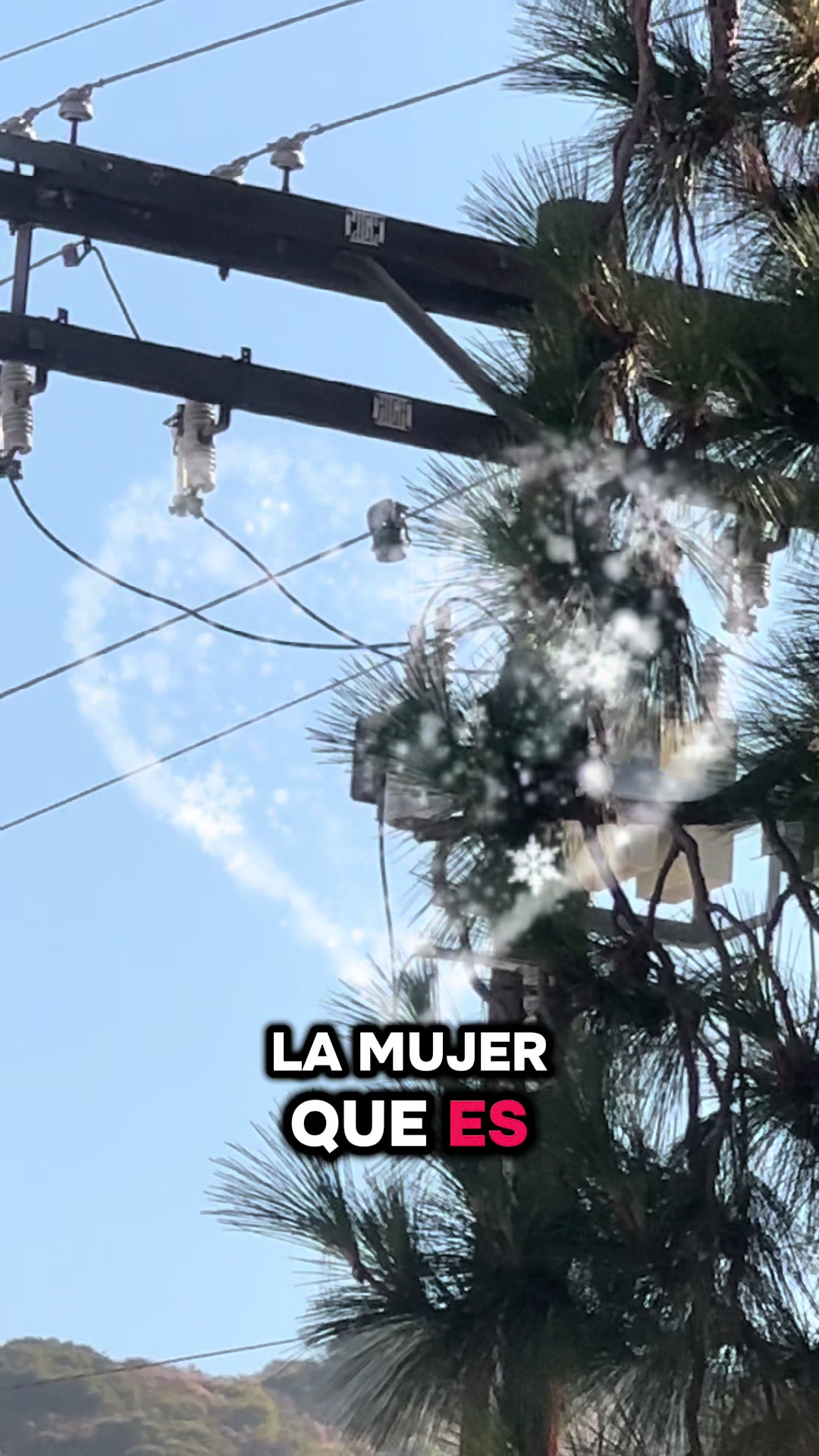 @Luis Angel1989