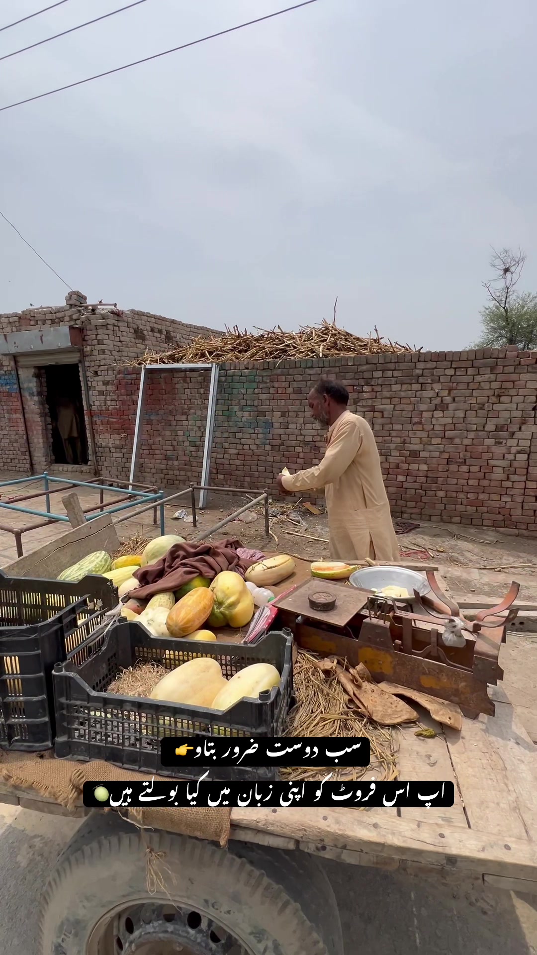 @Salman punjab ala