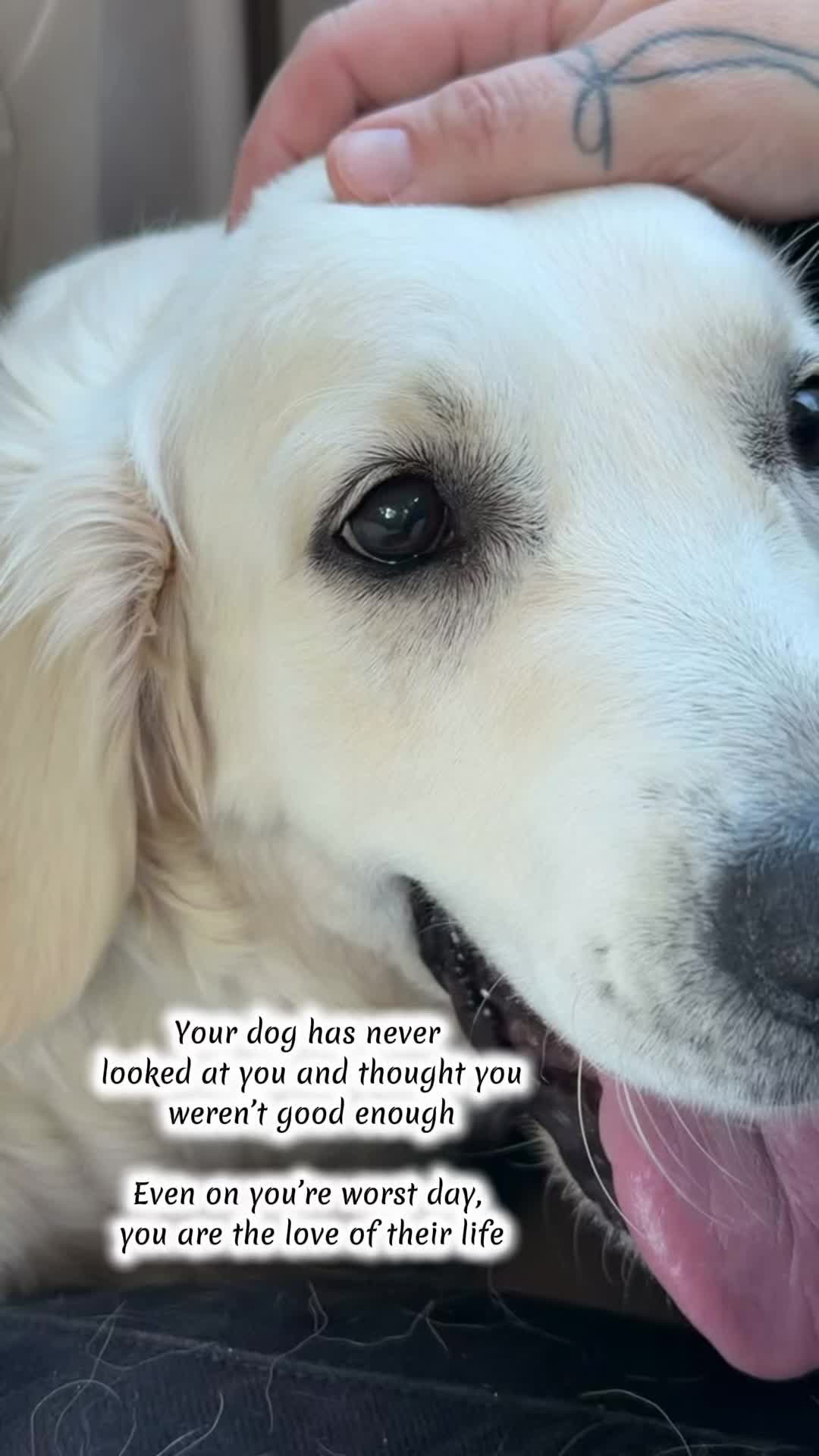 @Corinne