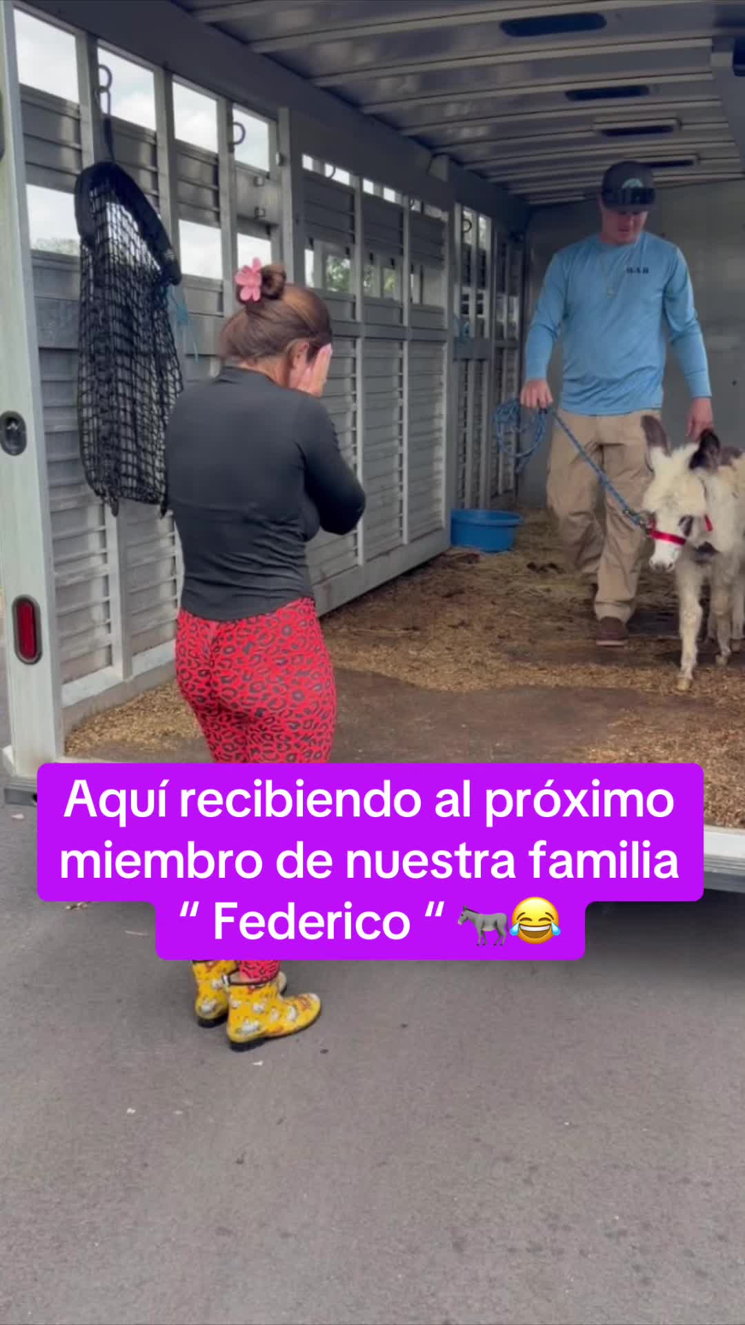 @Jorge Rodriguez
