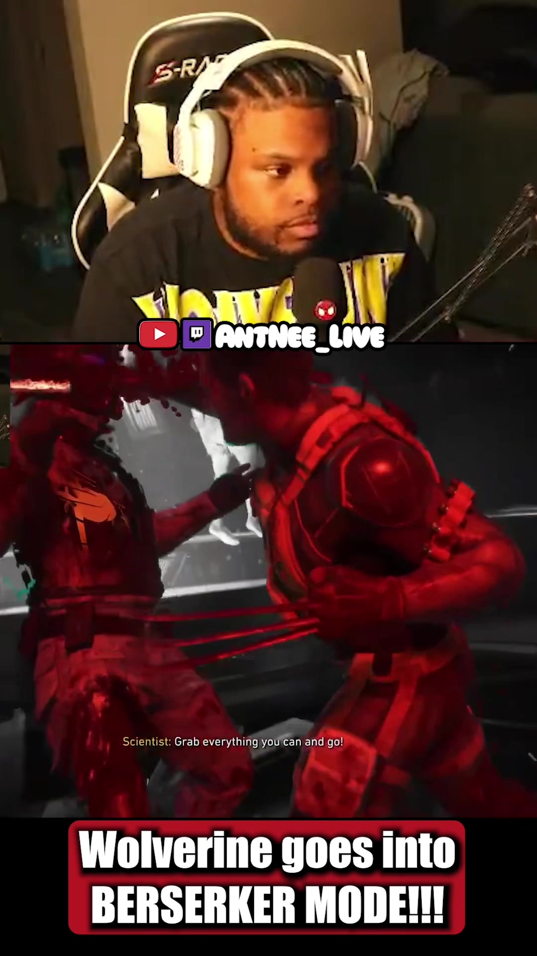 @AntNee Live