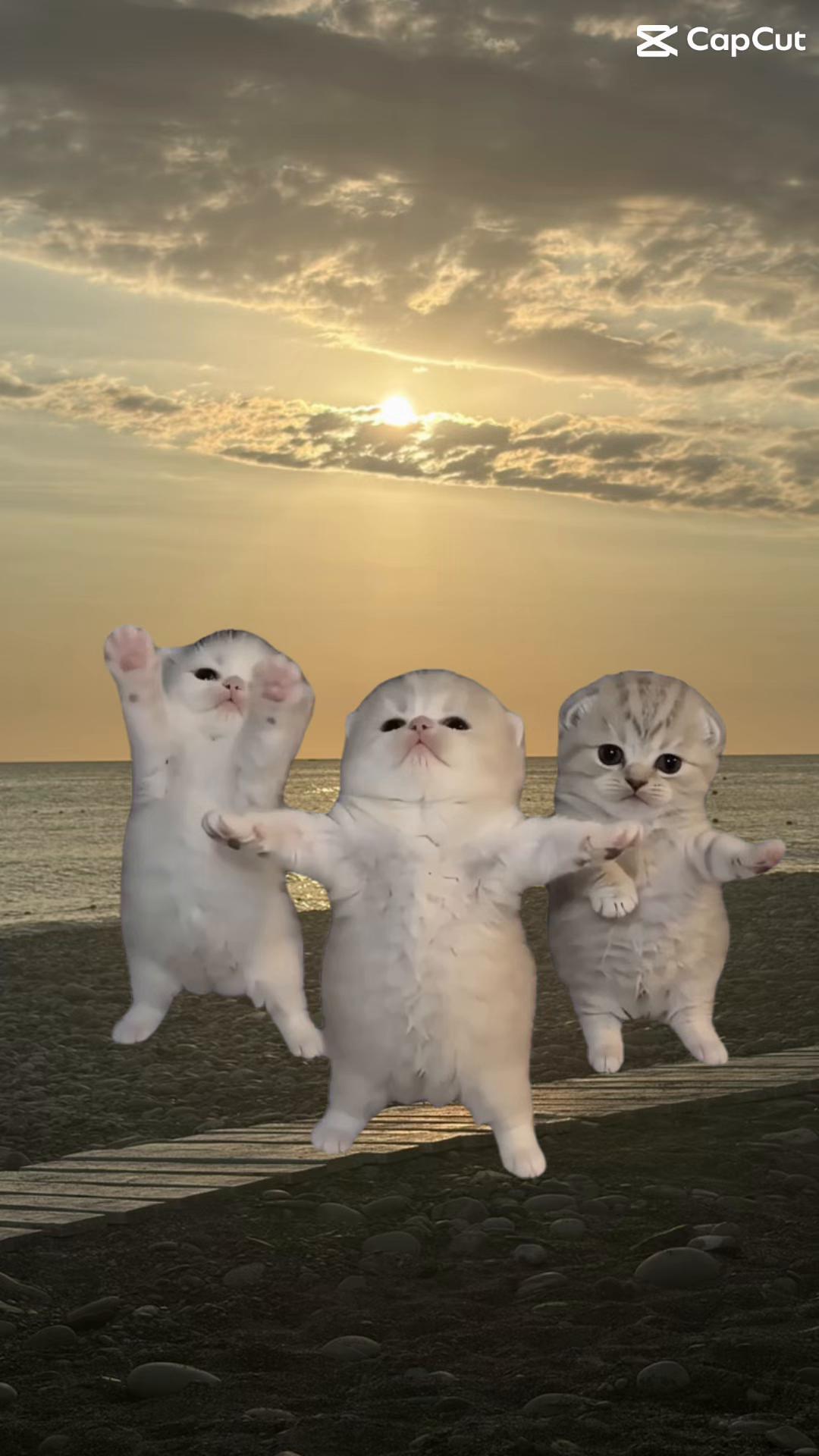 @Алинаночка❤️