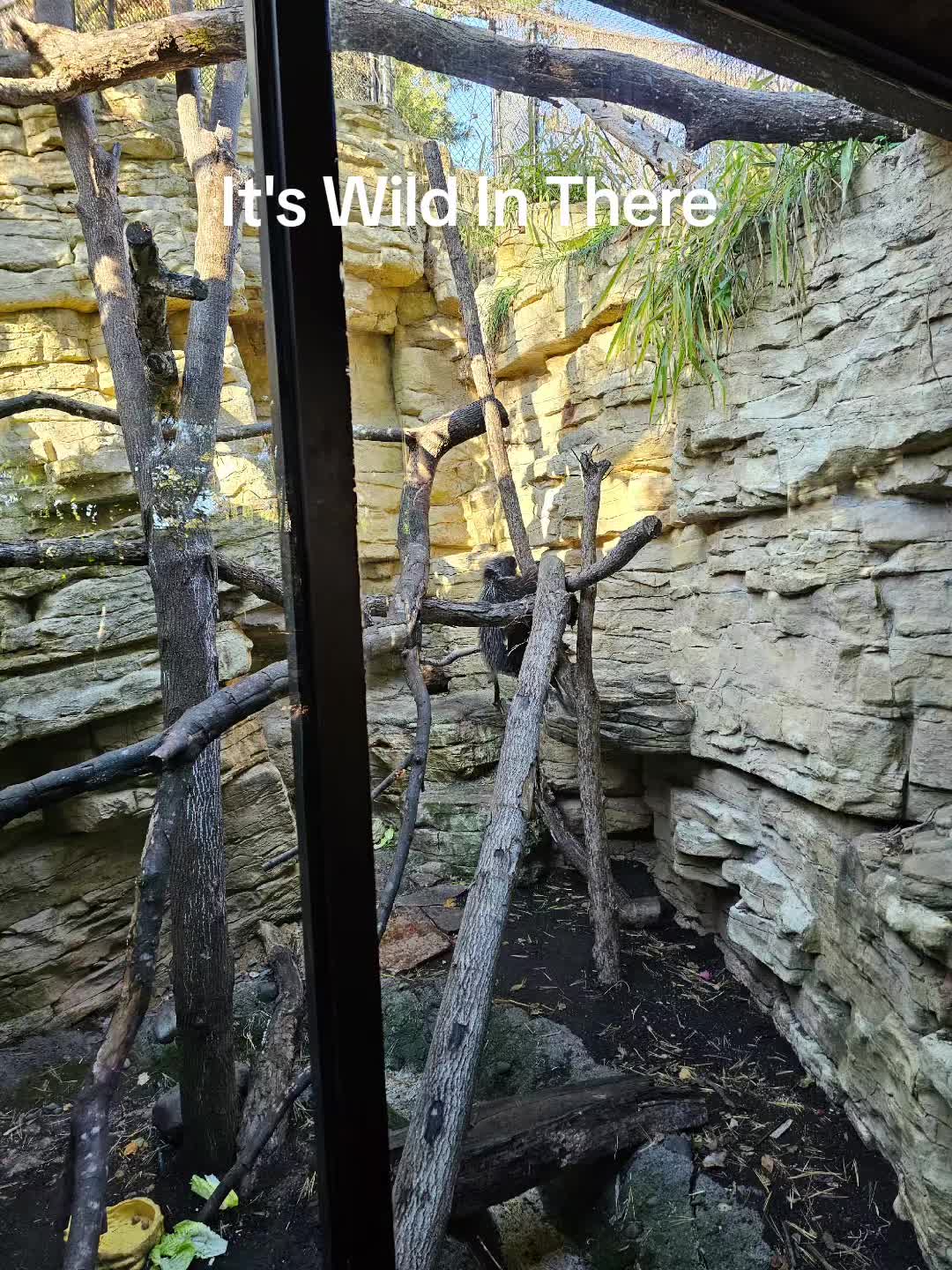 @Michelle