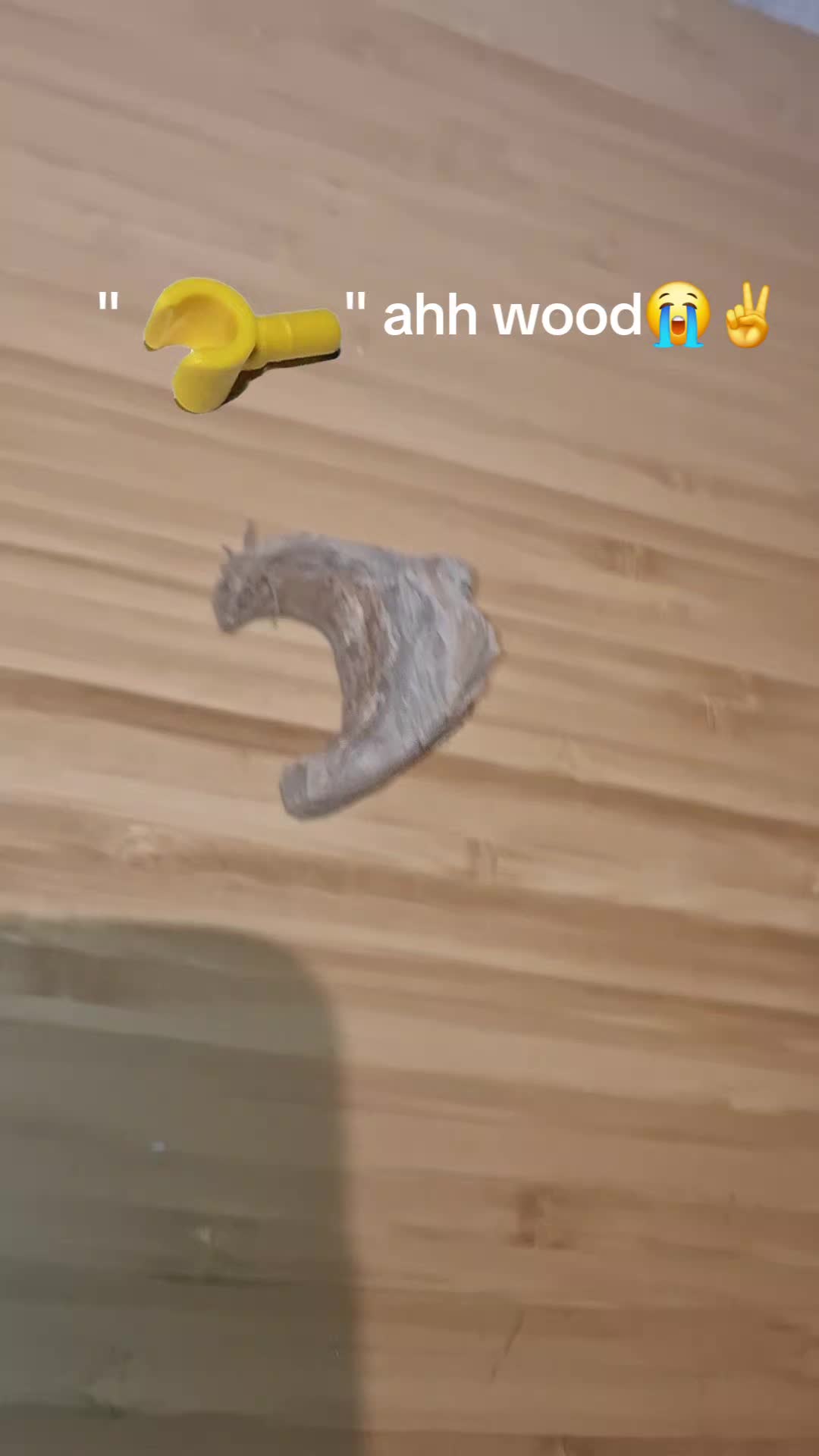 @Seasoned_Fries