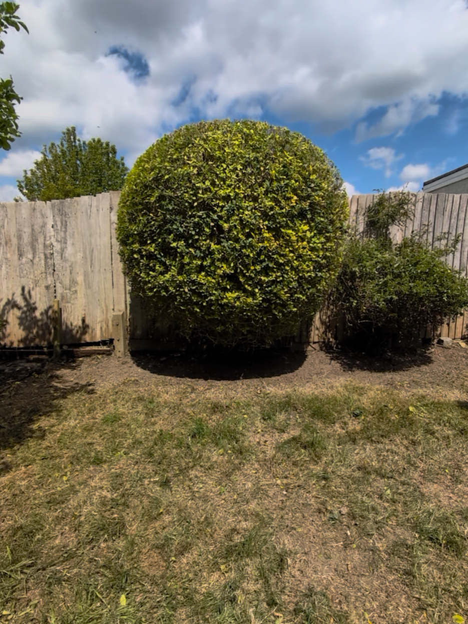 @Gary Hall Garden Services