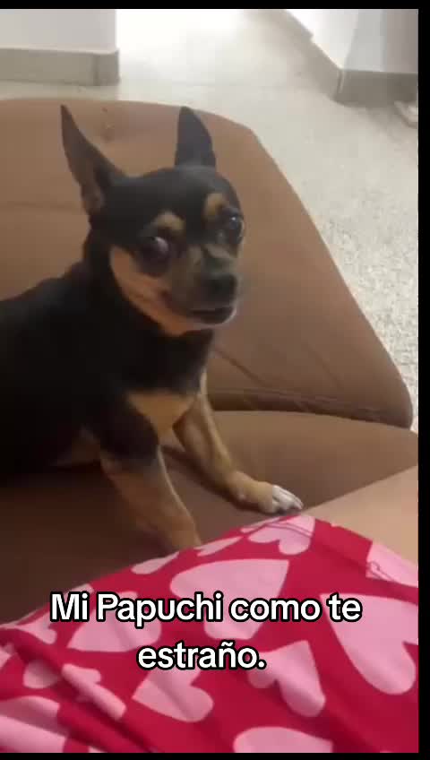 @Jeney Valladares