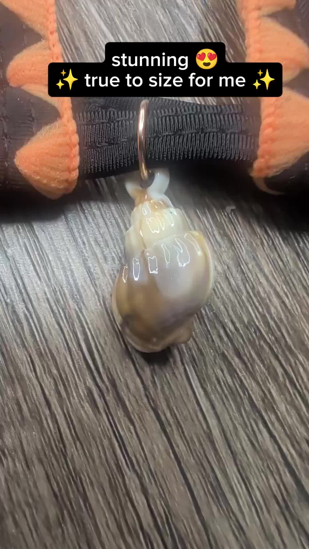 @family fun finds UK
