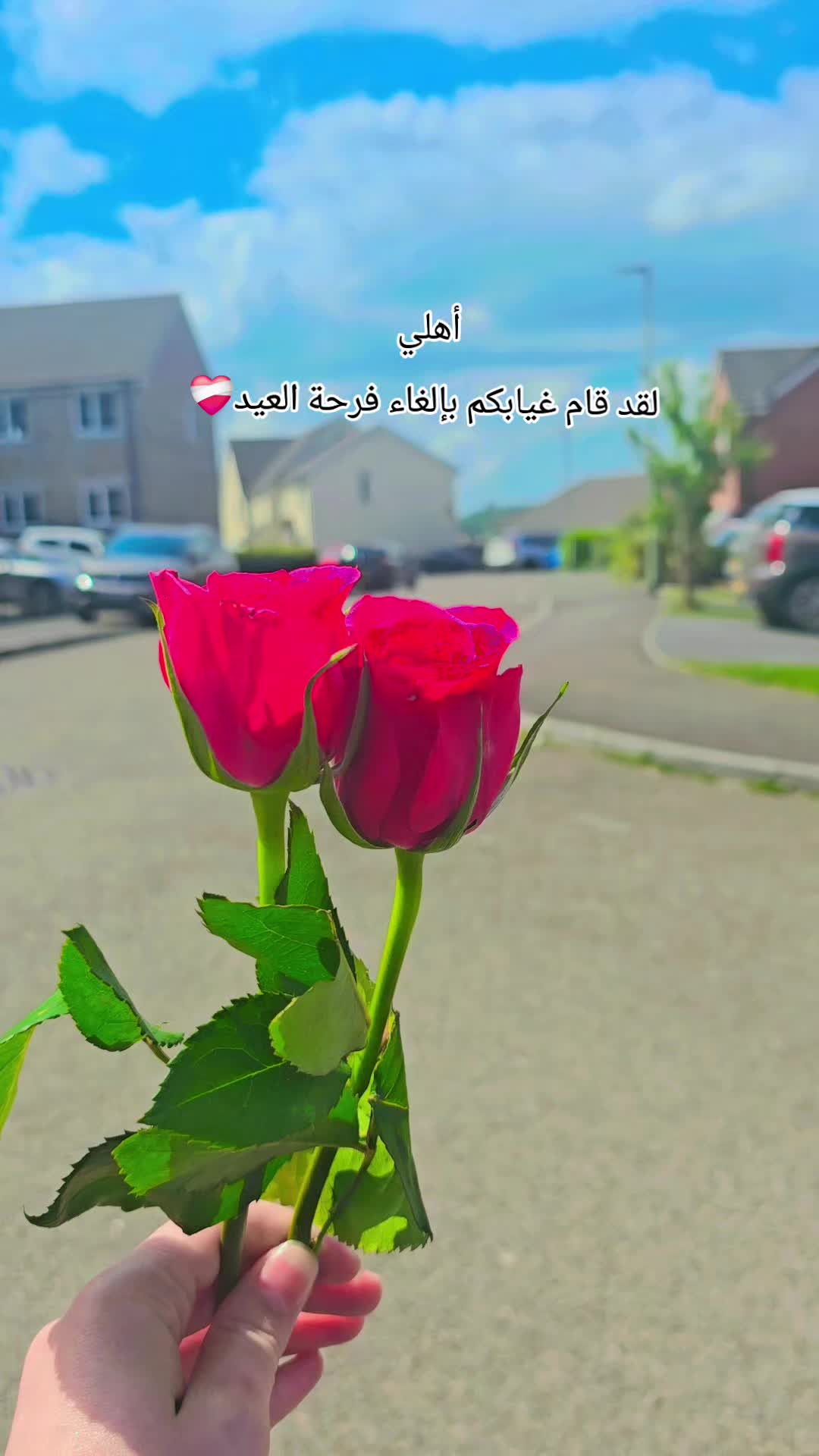 @🤍OLA OMAR 🤍