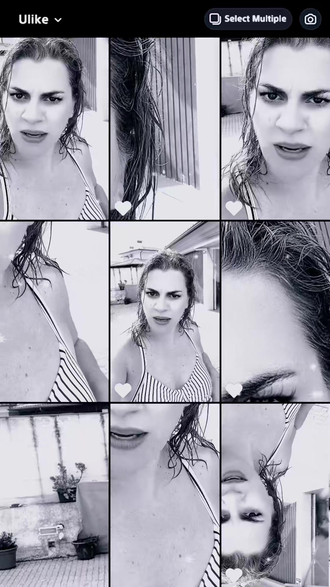 @Rainha_Carlota