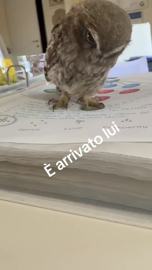 @Fiammetta FRANCONERI