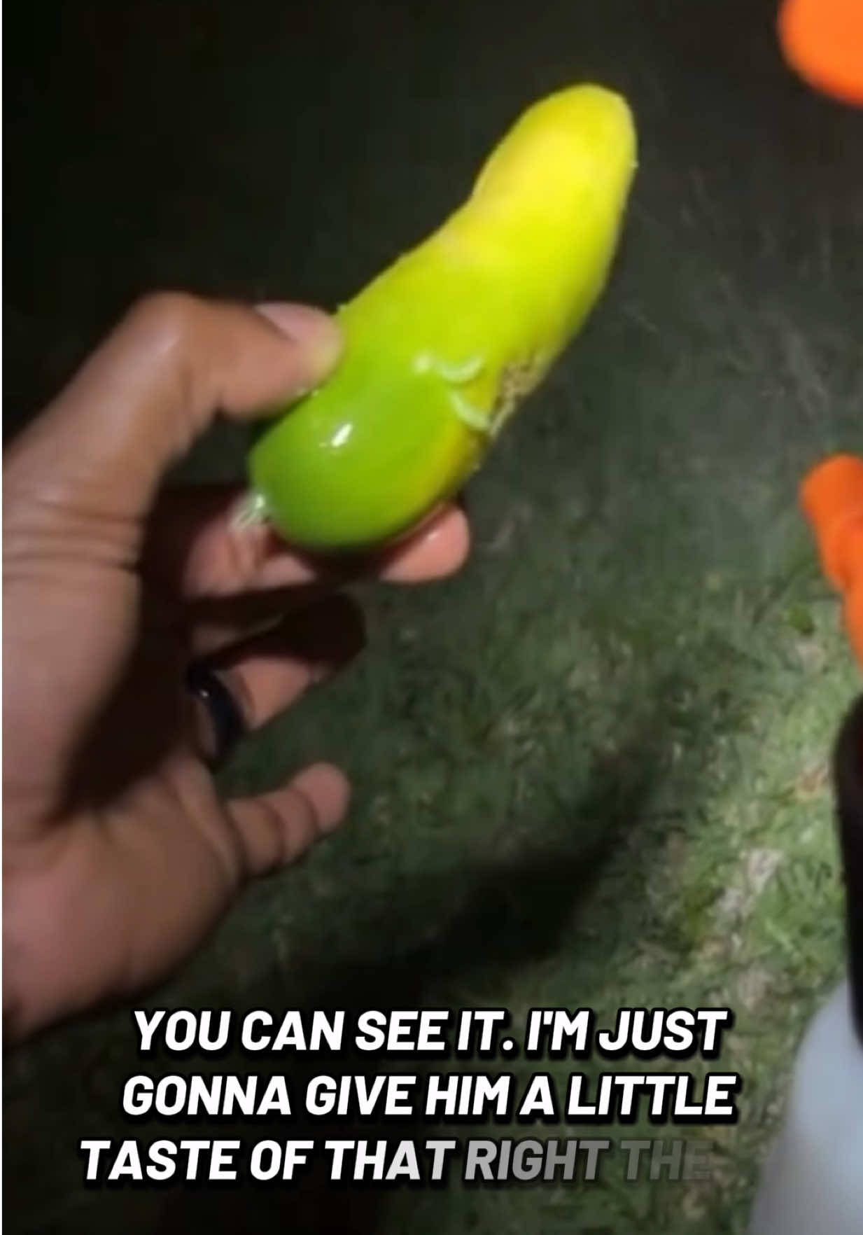 @Alex Saint