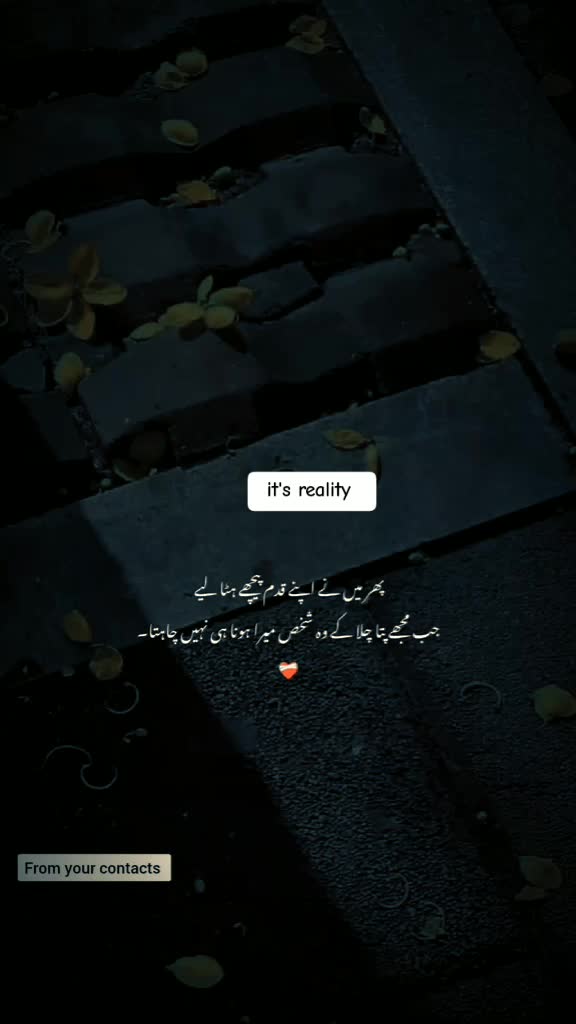 @Amalfairy2