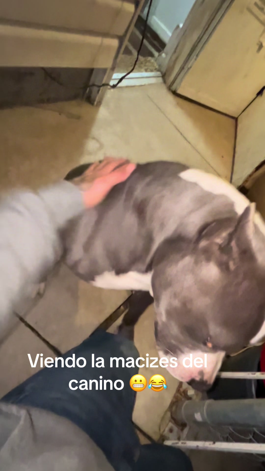 @teddyalvarezz