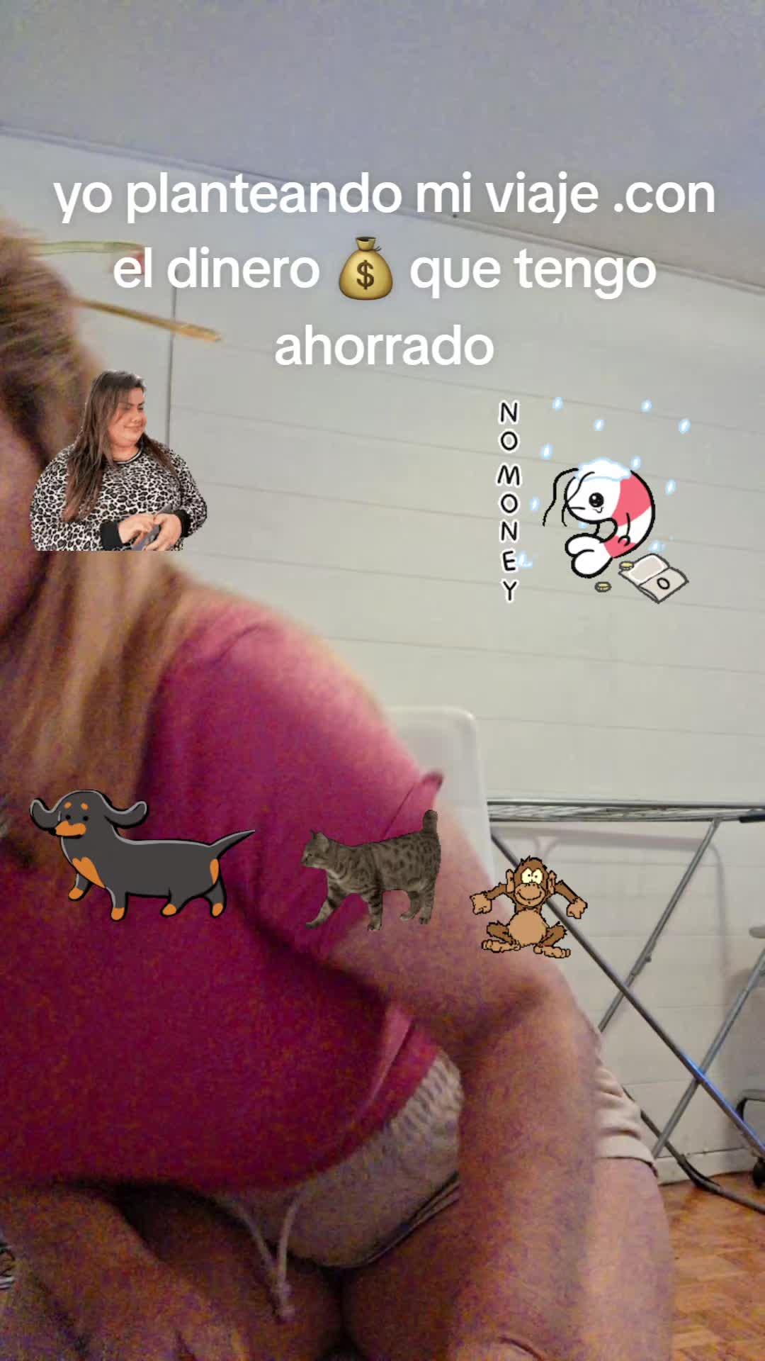 @amor amor 87858224256105