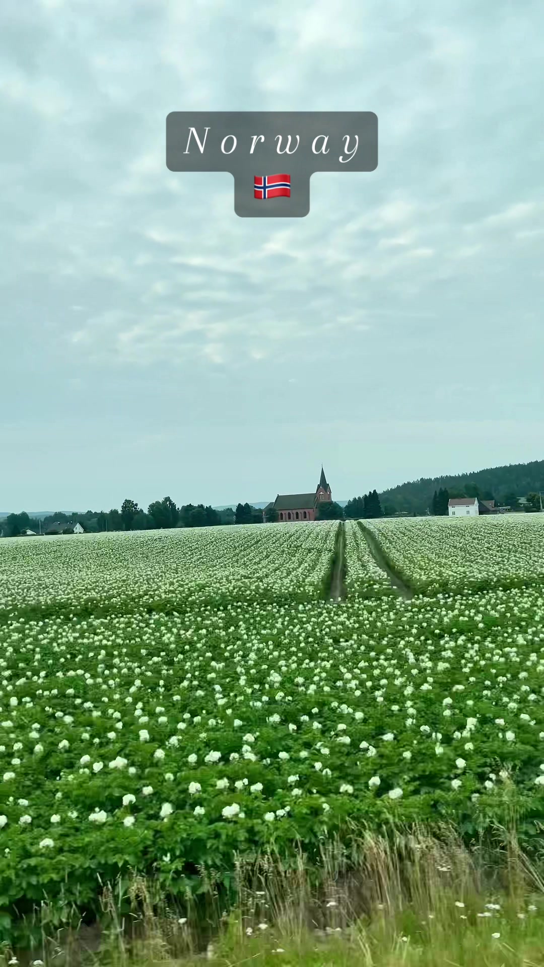 @Tukky@Norway