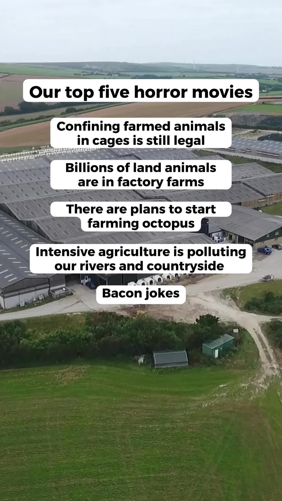 @Compassion in World Farming UK