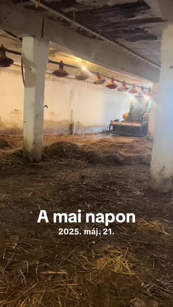 @Szolnoki Egon