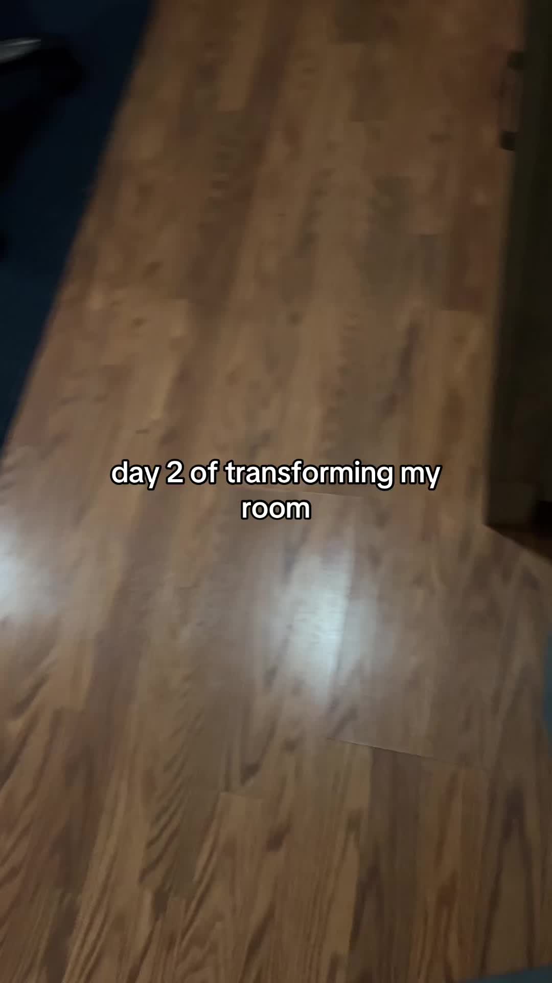 @xenoz