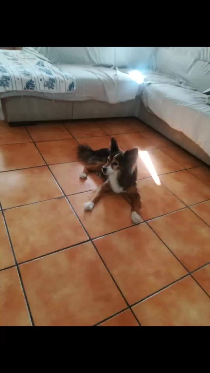 @Chiara Molino