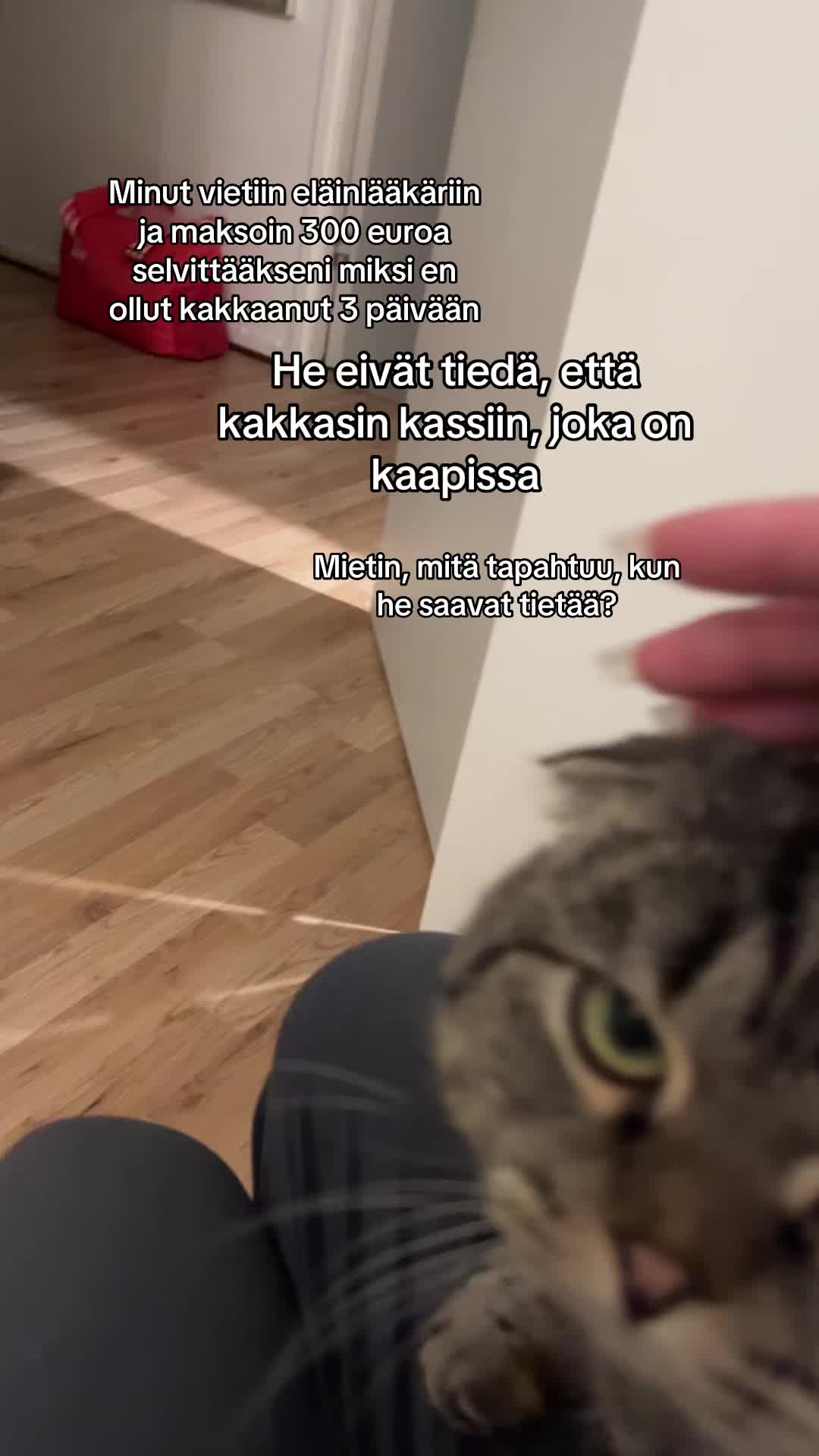 @Galina
