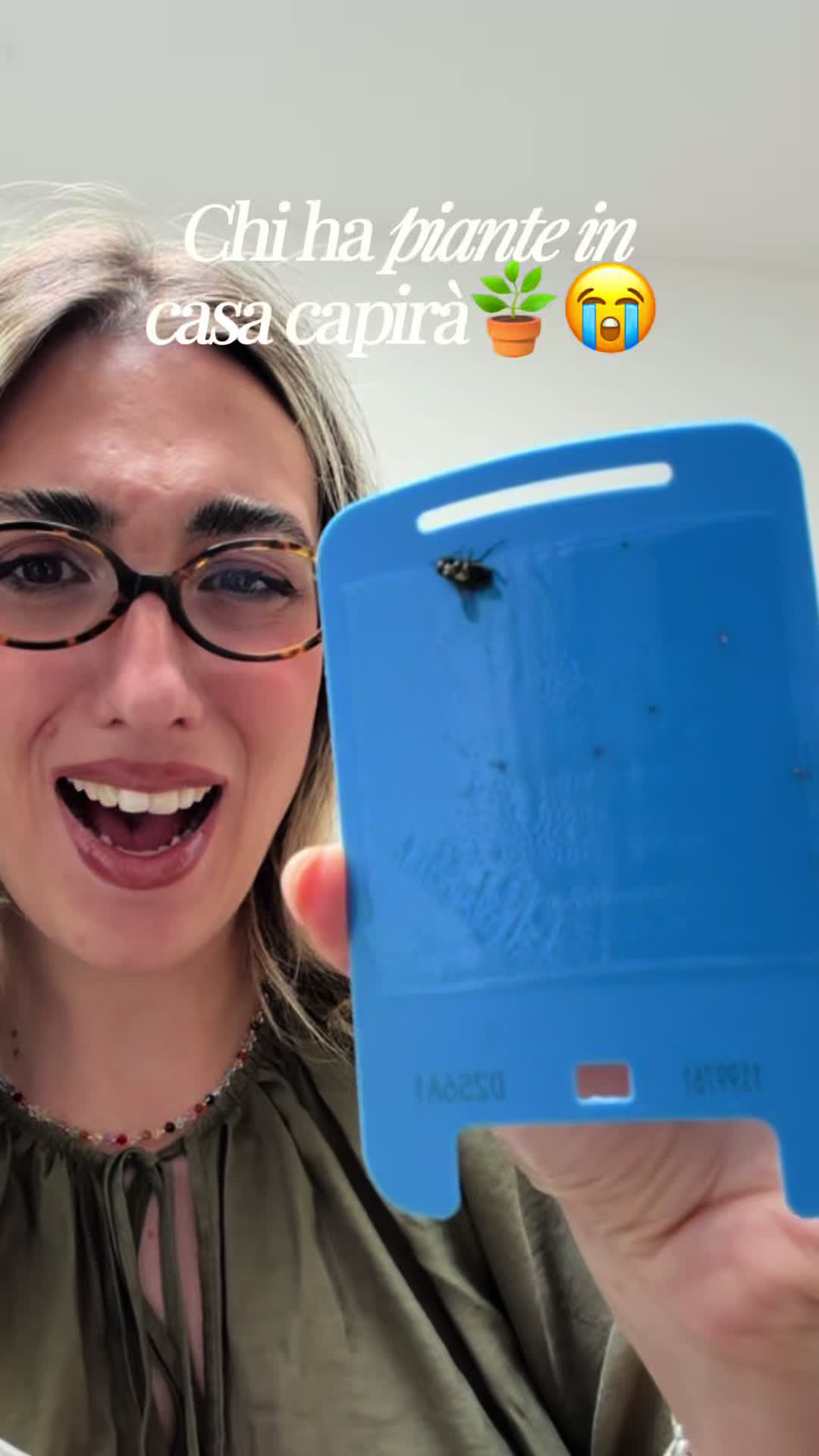 @ambrachiara_consales