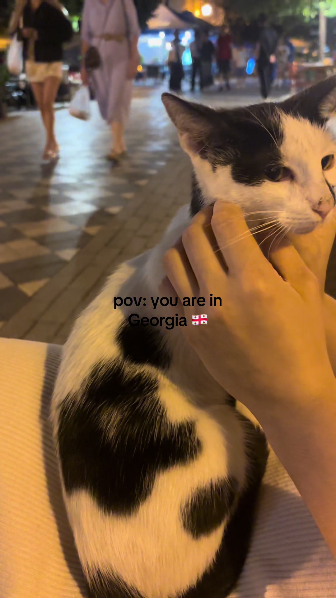 @alonka