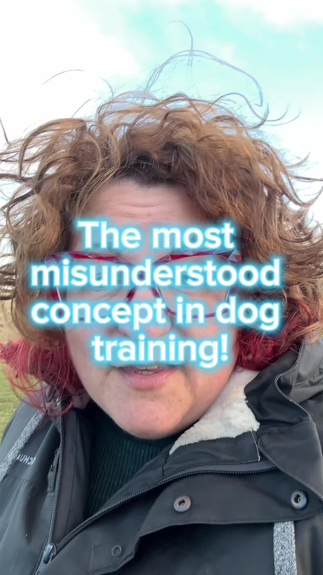 @Marti Border Collie Geek
