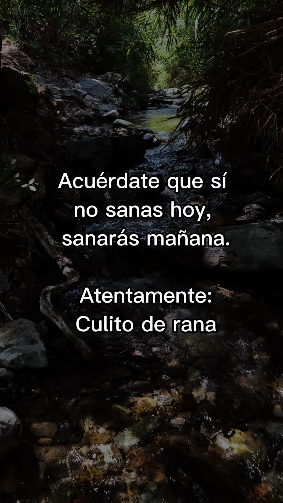 @maria.renacer