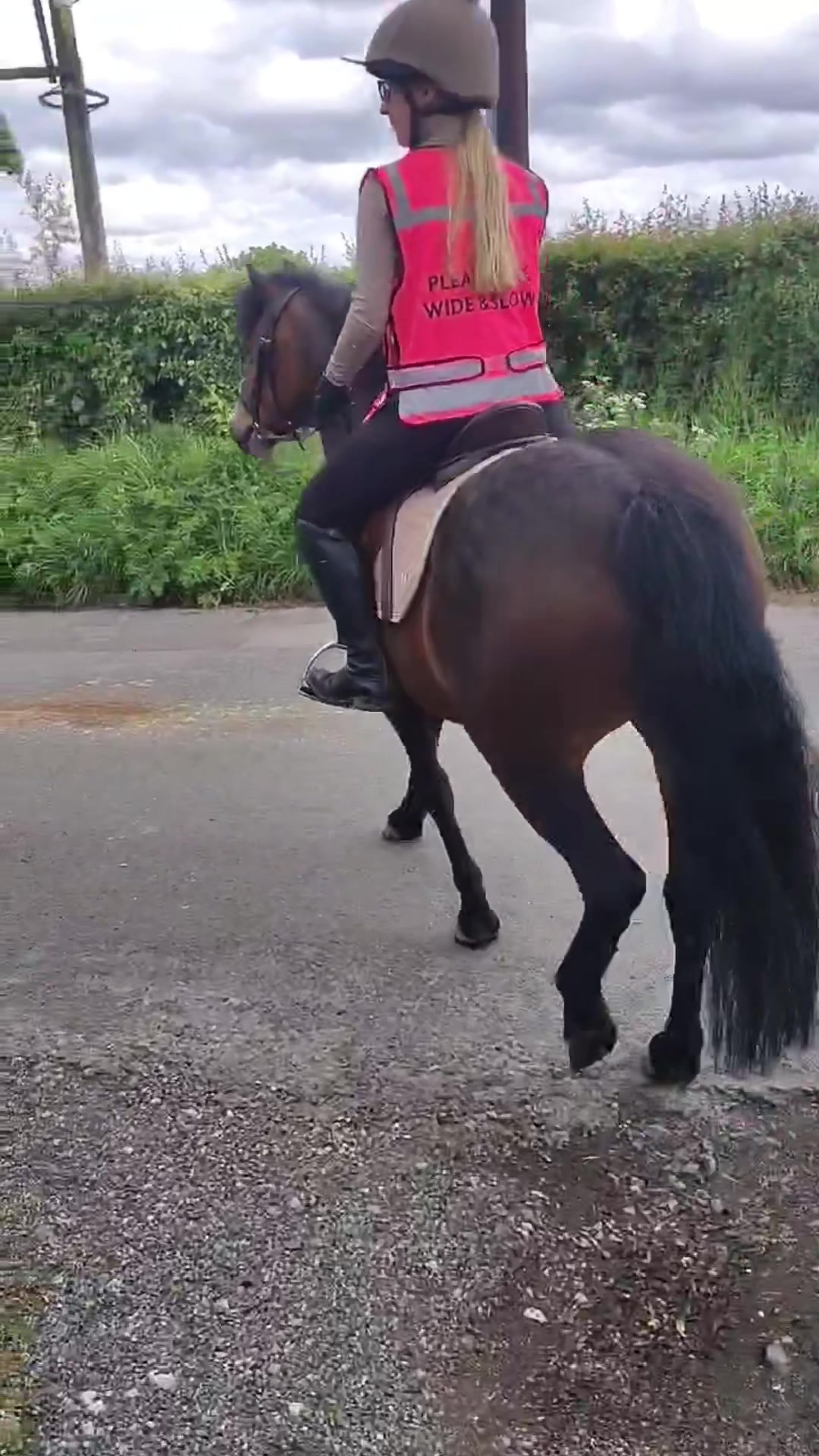 @Freya_horses