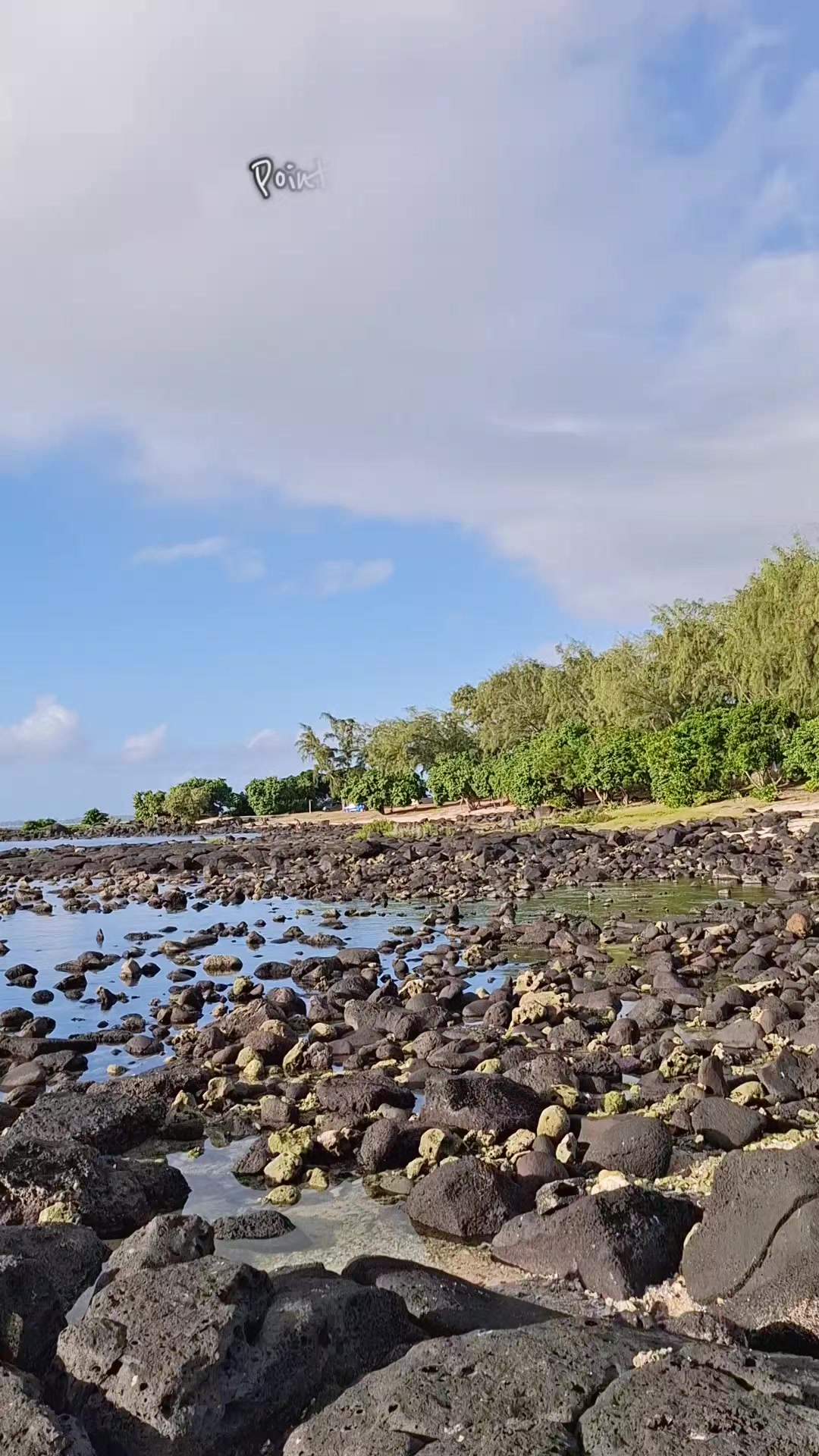 @Musings of an Island Girl