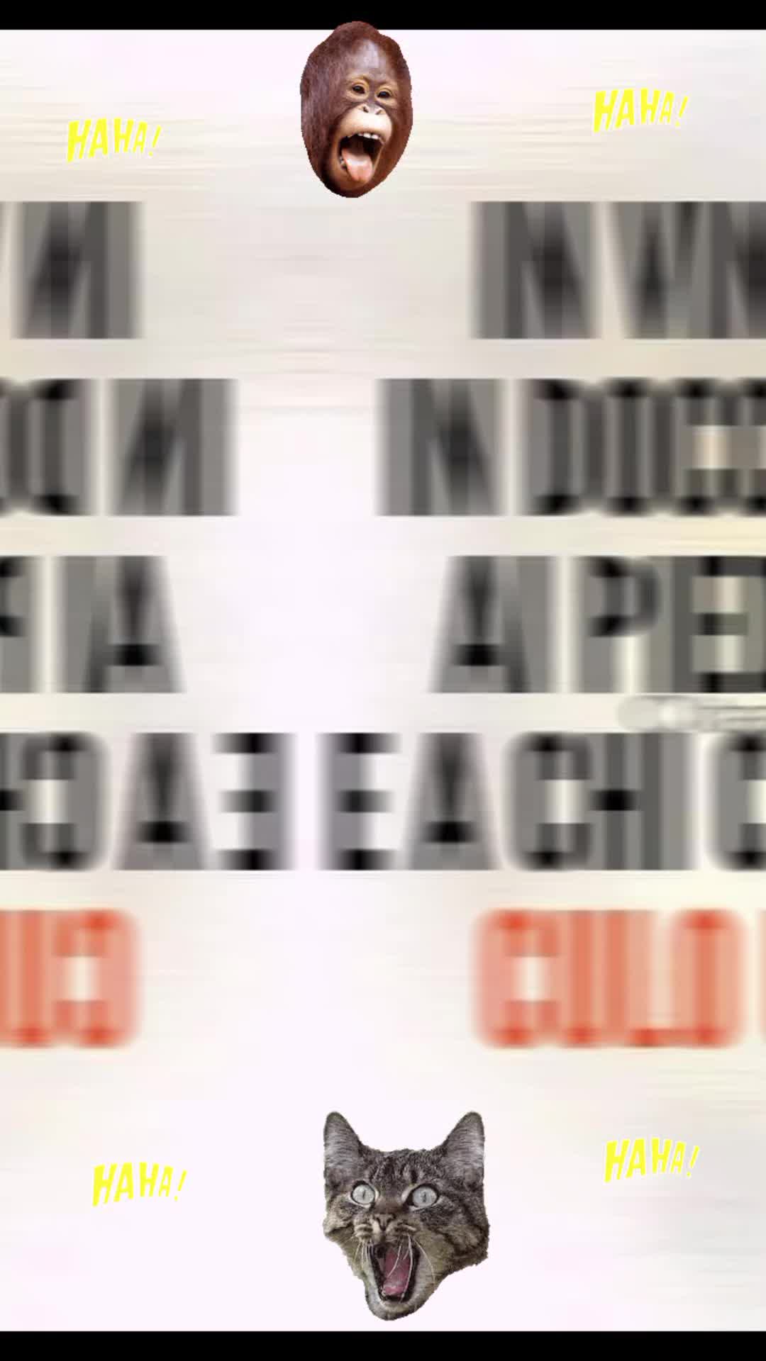 @vitomarabello2