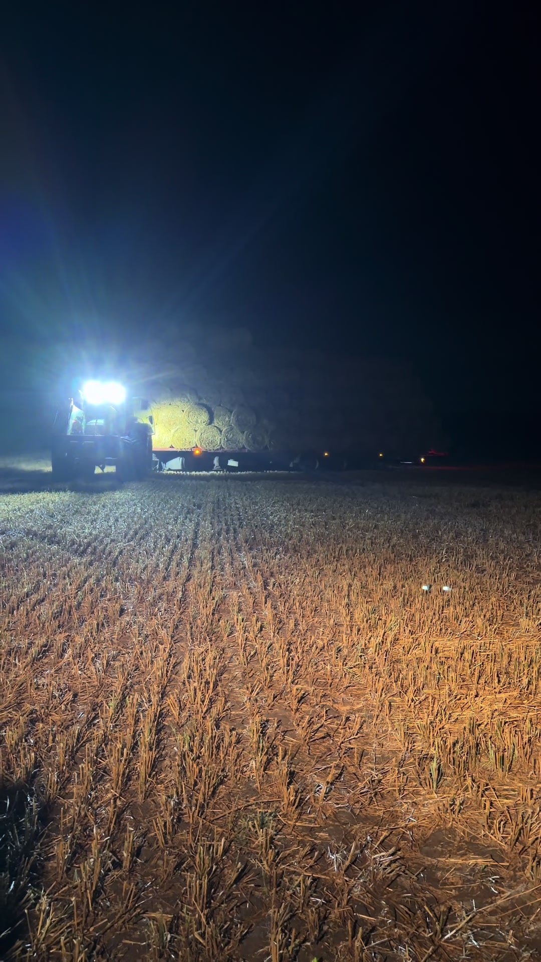 @Agro_dżAga