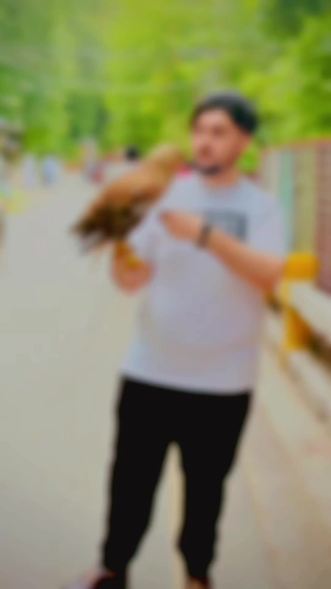 @⤹★ AFRIDI جہانگیر ★⤸