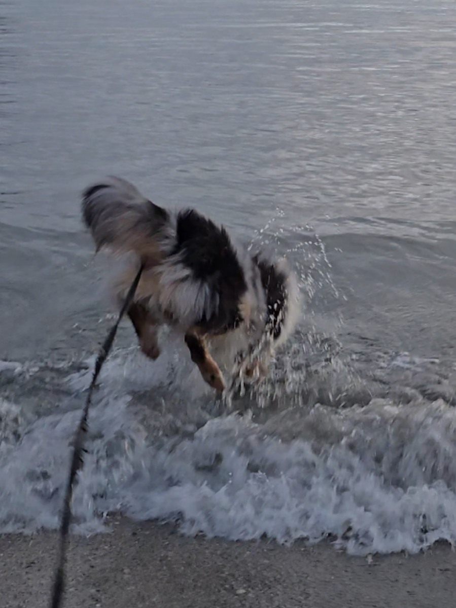 @mr.montytheaussie