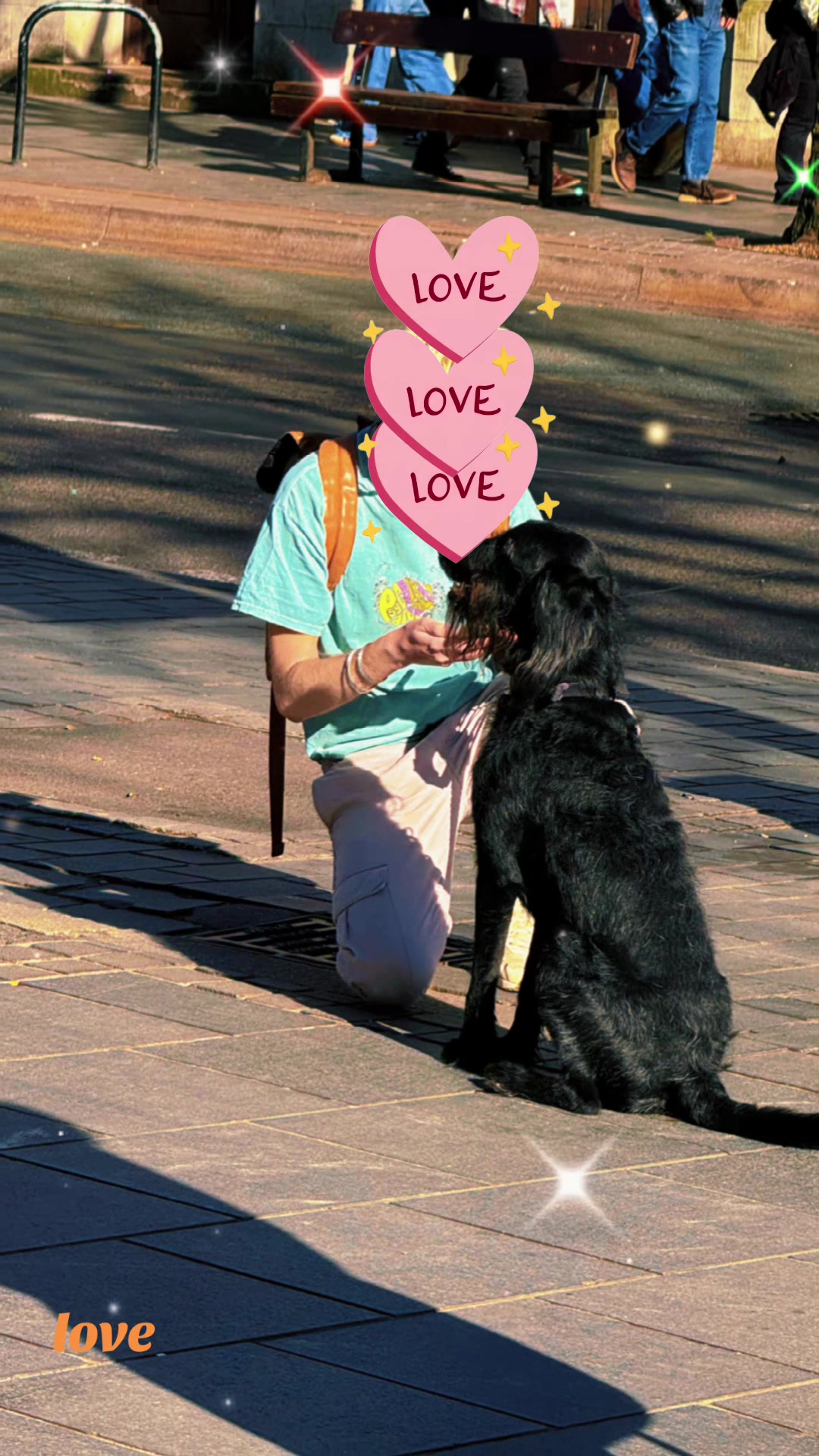 @Crazy Dog Lady & Jack Cavapoo