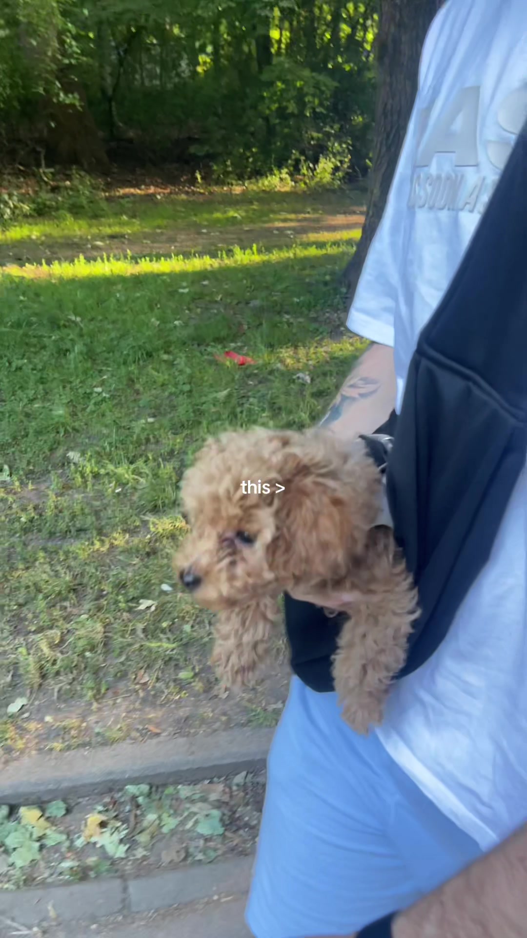 @mickythepoo | UGC Creator