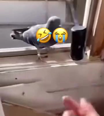 @Mortderigole06