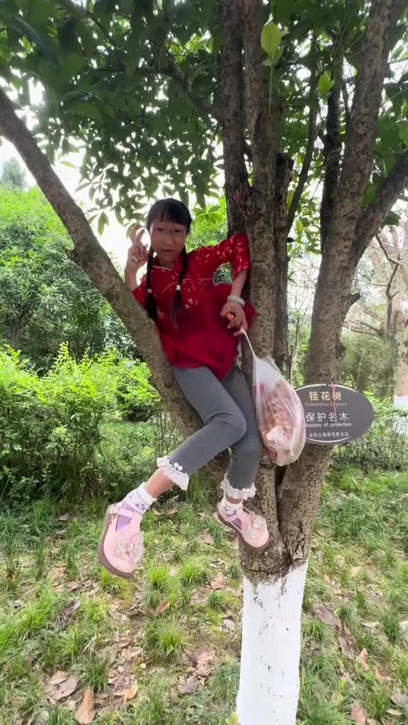 @Xiao xiao
