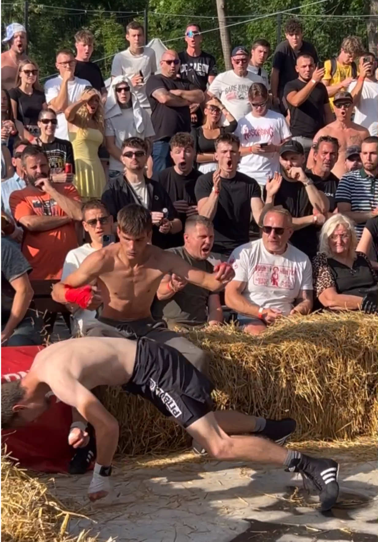 @FightingLab