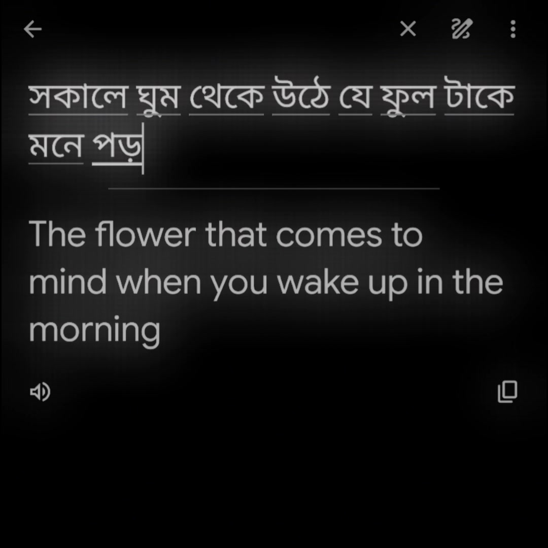 @đ°~ āĻļā§āώ āĻĒā§āώā§āĻ āĻž ⧝⧝ đđŦ