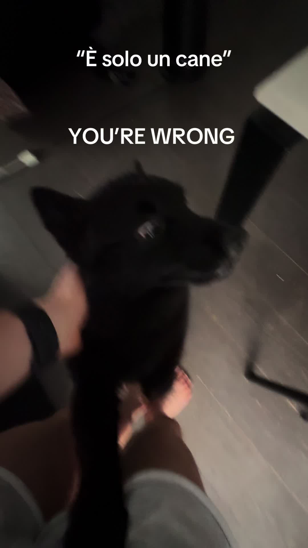 @Ashlin