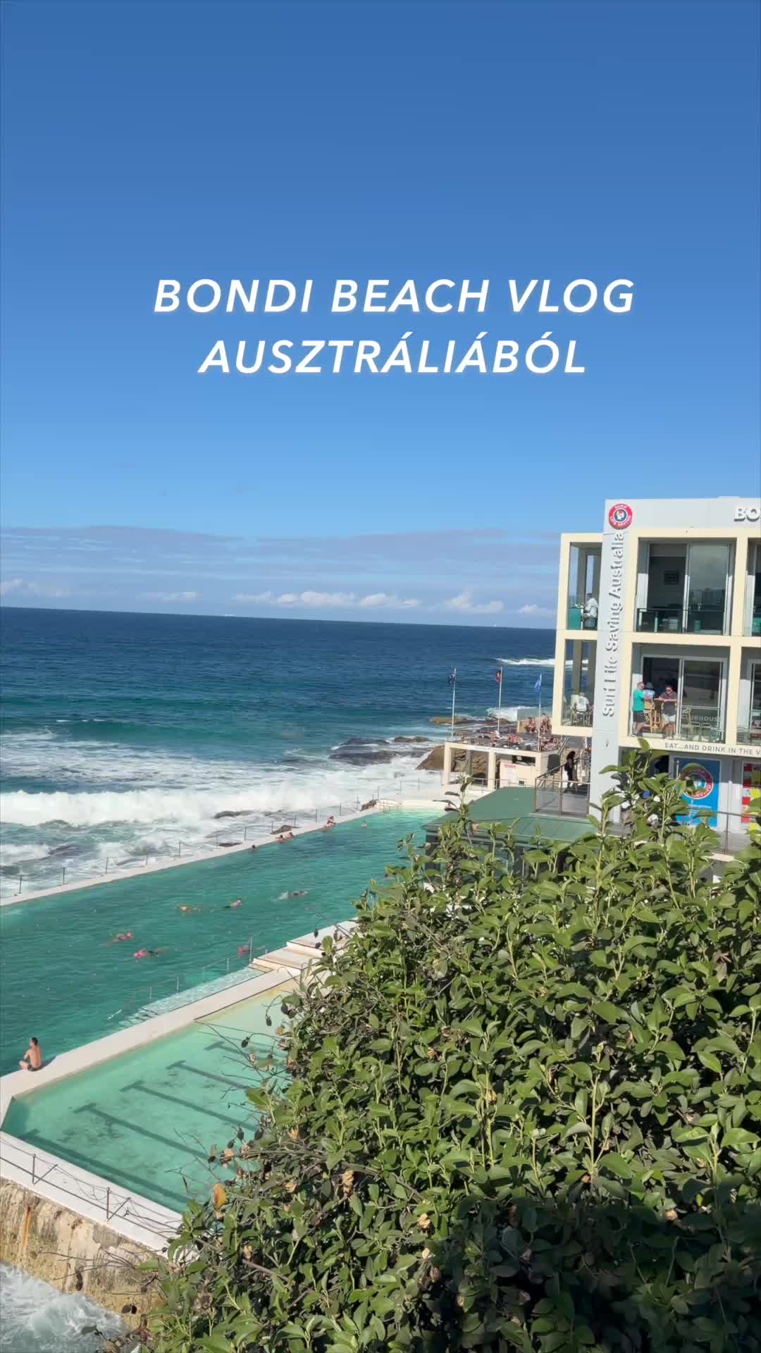 @Leopold | Australia 🇦🇺🐨🦘