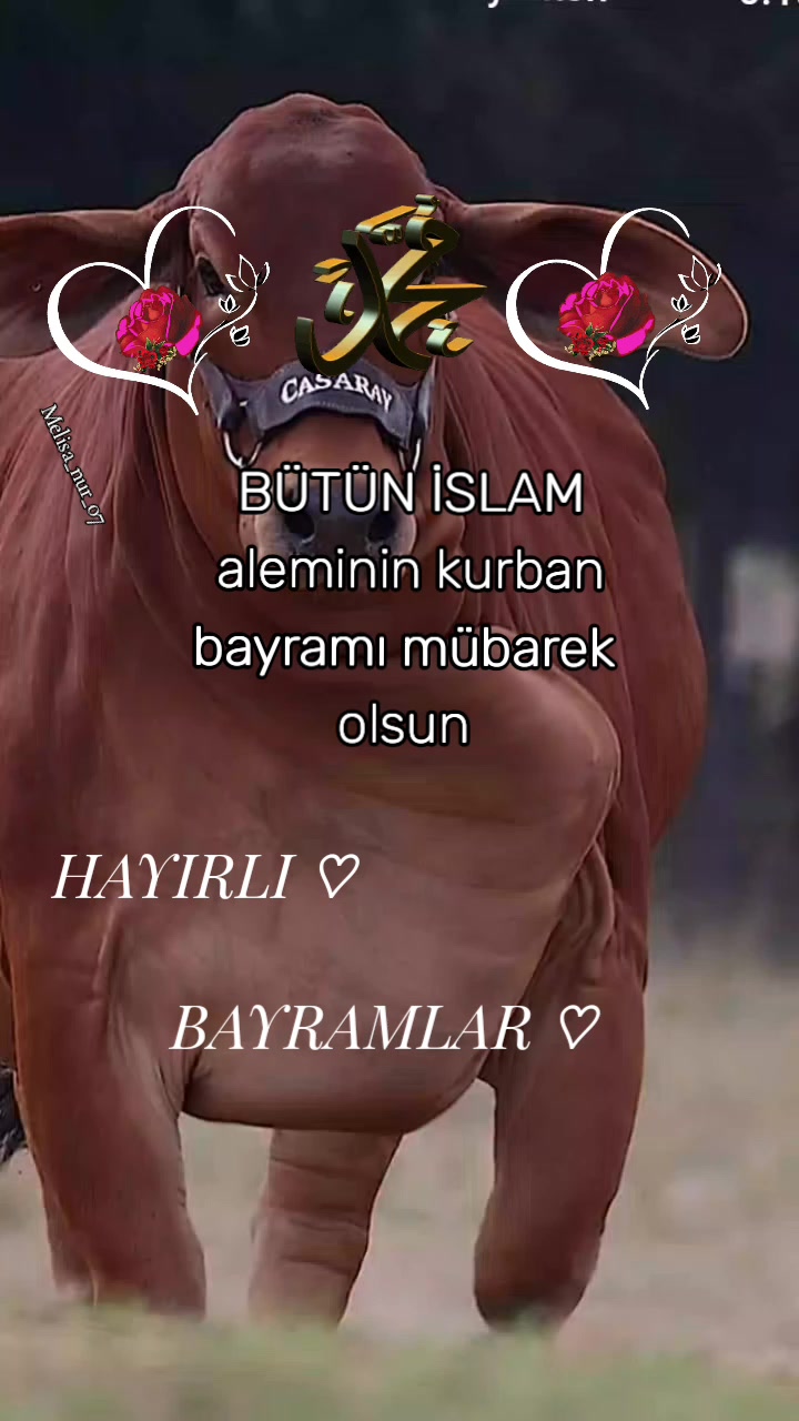 @♡★᭄ꦿ᭄ EZ   ᭄ꦿ᭄:♡MELİSA★᭄ꦿ᭄ ♡