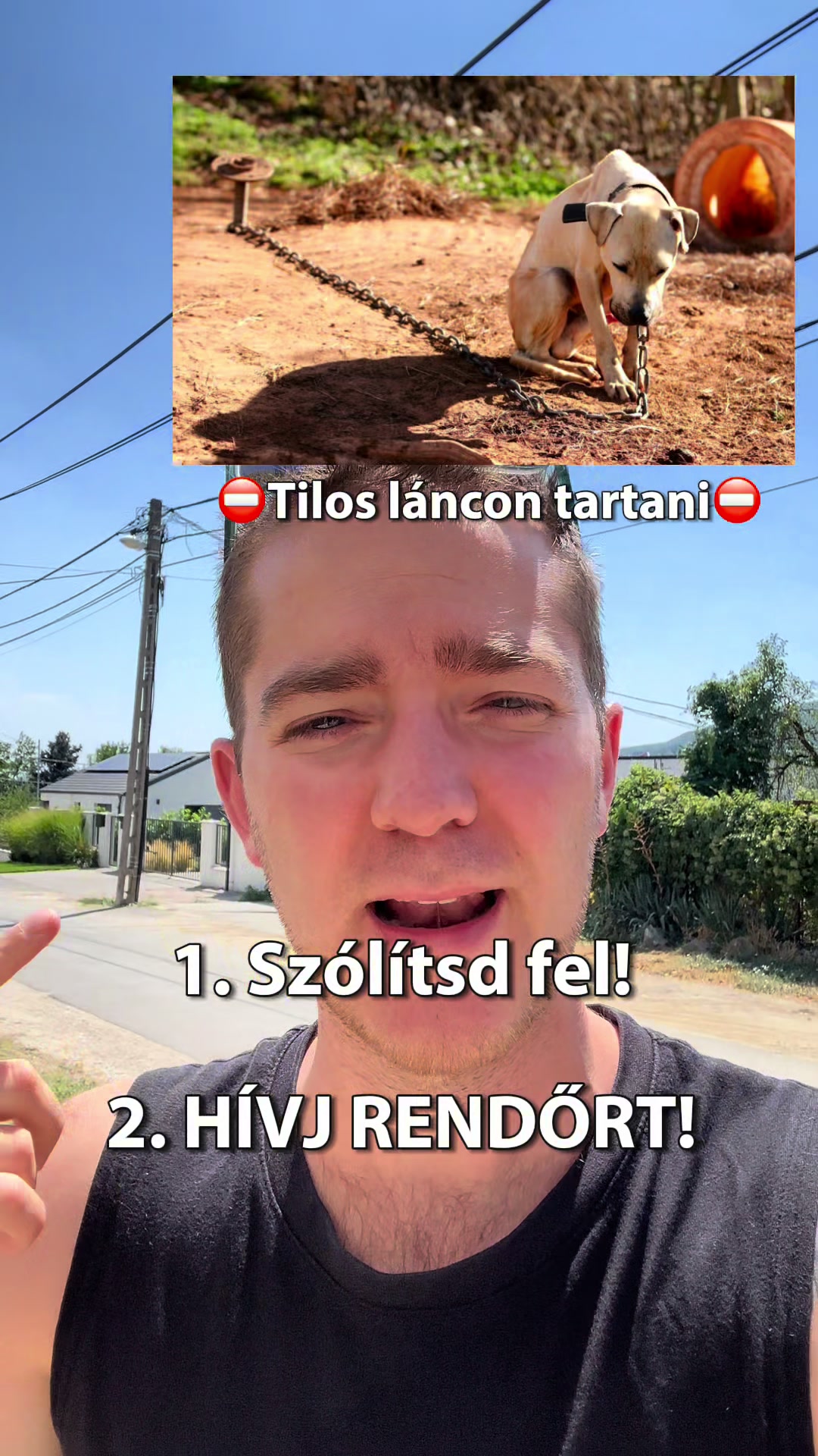 @Orlovszky Bendegúz