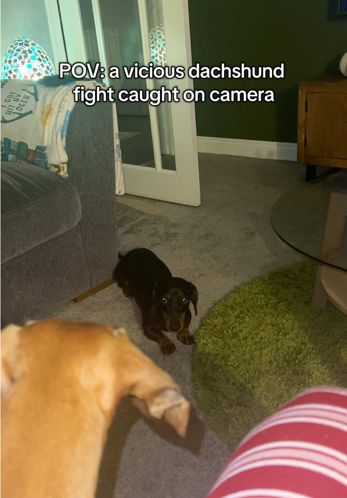 @Rebecca, Pip & Rolo