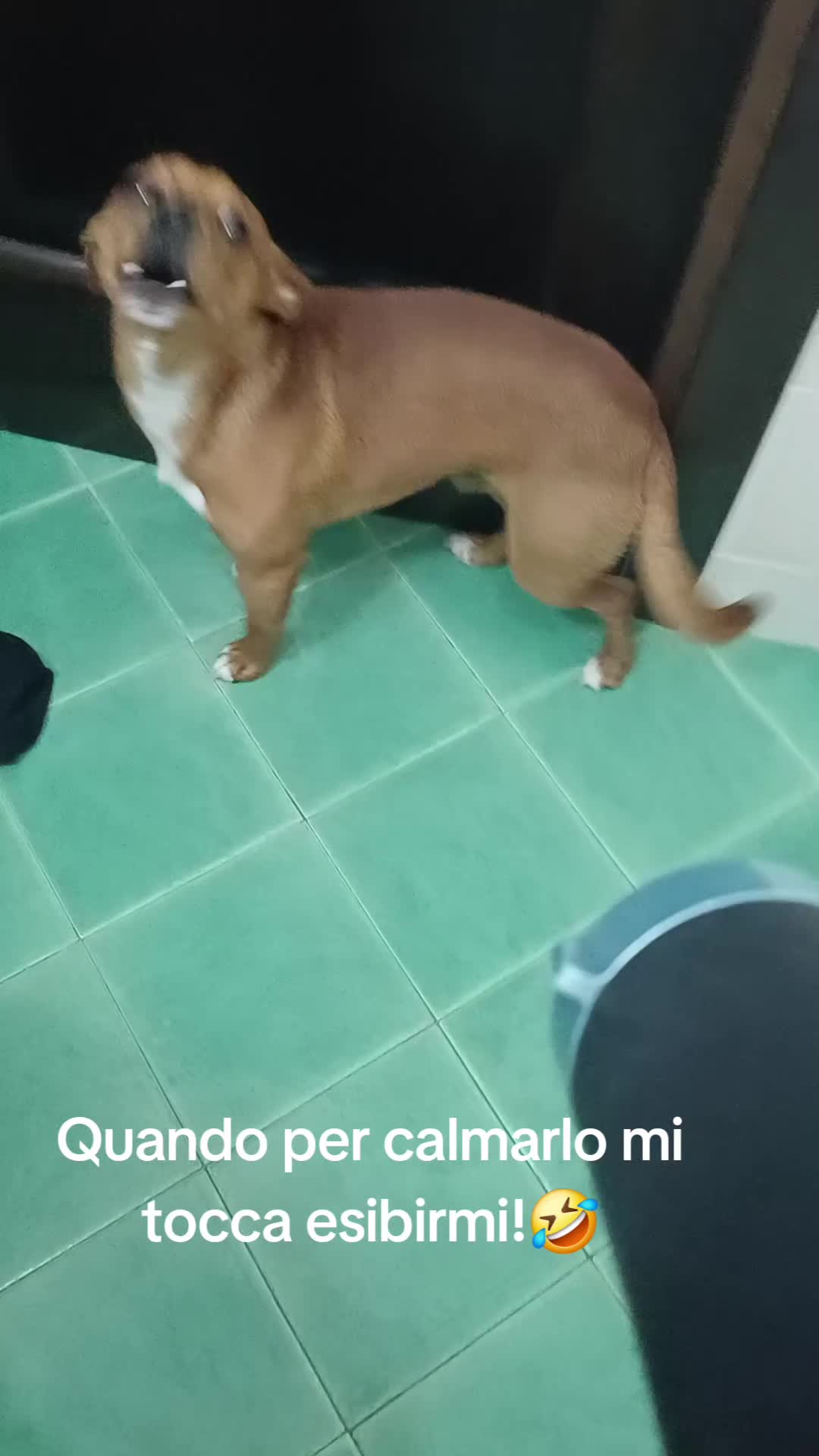 @Joy (Letizia Poma)
