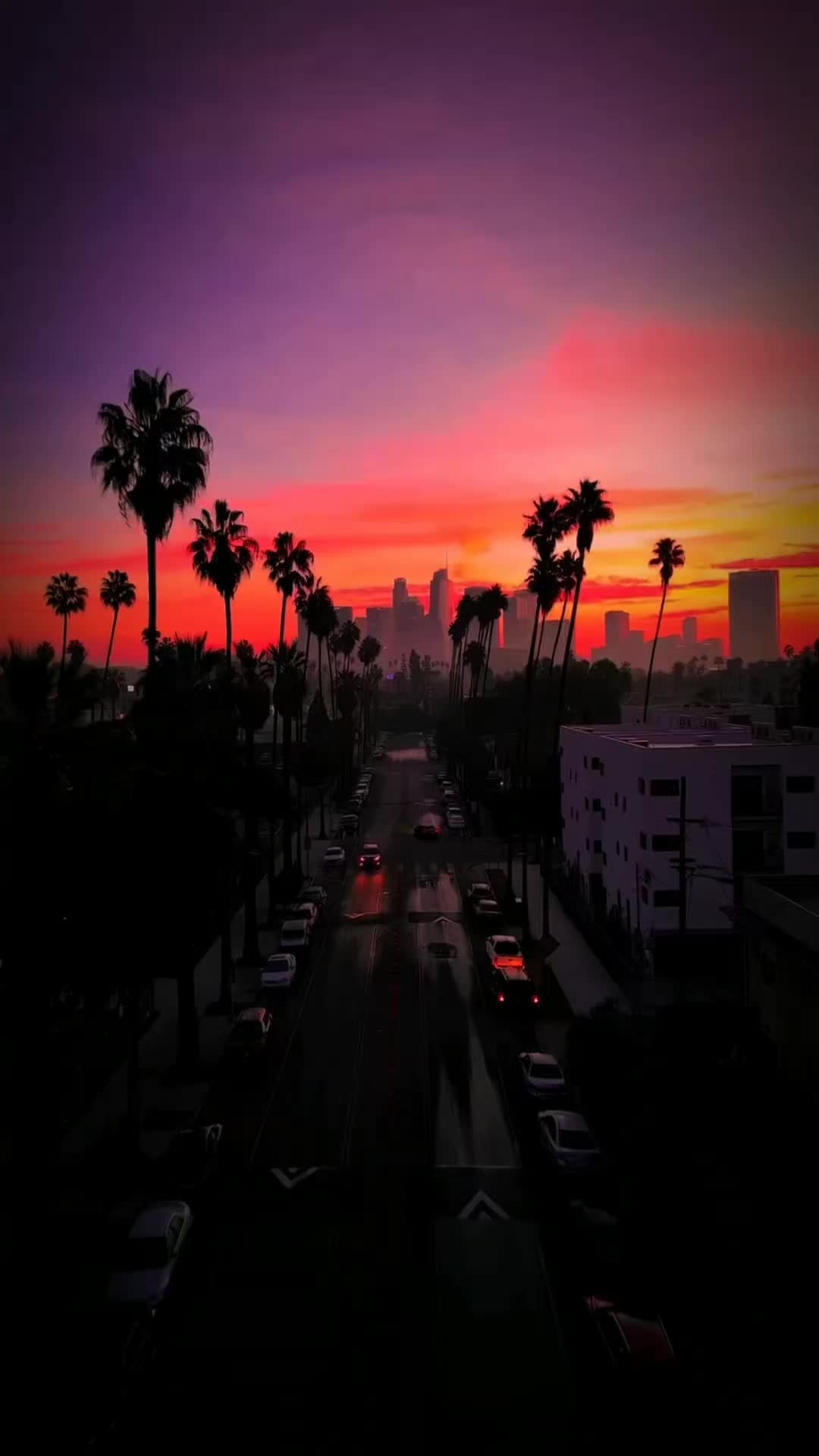 @MFC 🎶
