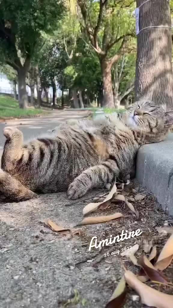 @๐ช๐ด๐๐๐๐โ๏ธ๐ฉ๐๐๐๐๐๐๐